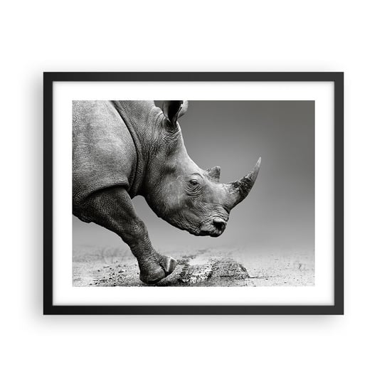 Obraz - Plakat - Niepowstrzymana siła - 50x40cm - Nosorożec Zwierzęta Afryka - Foto Plakaty w ramie koloru czarnego do Salonu Sypialni ARTTOR ARTTOR