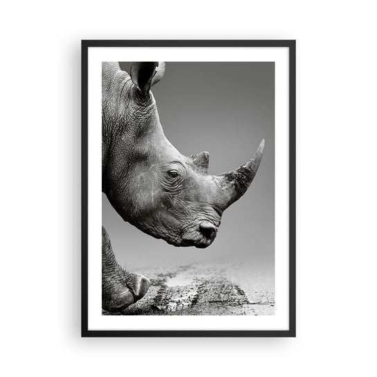 Obraz - Plakat - Niepowstrzymana siła - 50x70cm - Nosorożec Zwierzęta Afryka - Nowoczesny modny obraz Plakat czarna rama ARTTOR ARTTOR