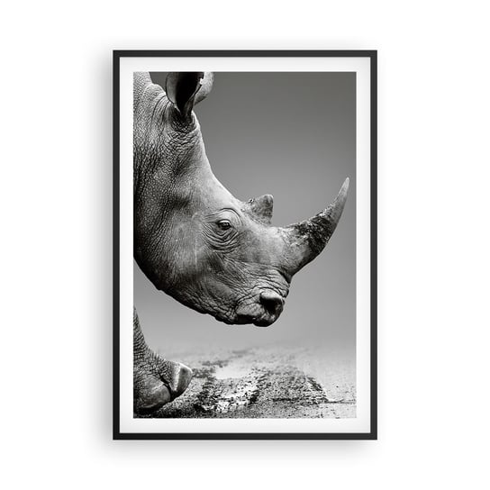 Obraz - Plakat - Niepowstrzymana siła - 61x91cm - Nosorożec Zwierzęta Afryka - Foto Plakaty na ścianę w czarnej ramie - Plakat do Salonu Sypialni ARTTOR ARTTOR