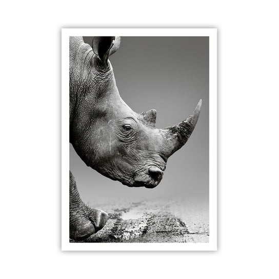 Obraz - Plakat - Niepowstrzymana siła - 70x100cm - Nosorożec Zwierzęta Afryka - Foto Plakaty bez ramy na ścianę do Salonu Sypialni ARTTOR ARTTOR