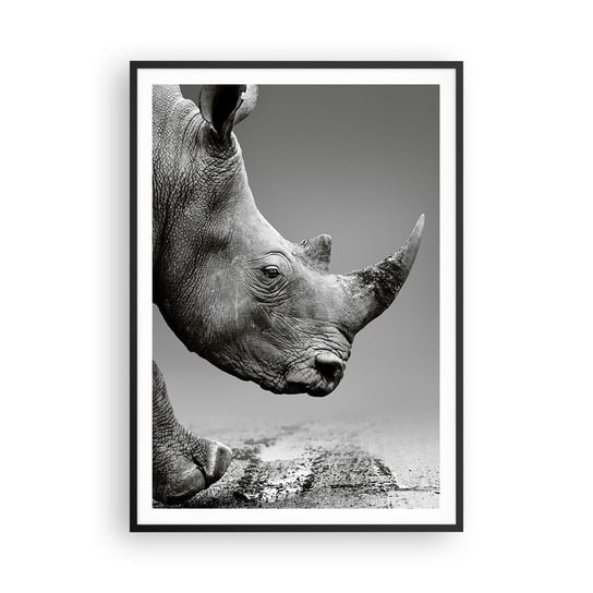 Obraz - Plakat - Niepowstrzymana siła - 70x100cm - Nosorożec Zwierzęta Afryka - Foto Plakaty w ramie koloru czarnego do Salonu Sypialni ARTTOR ARTTOR
