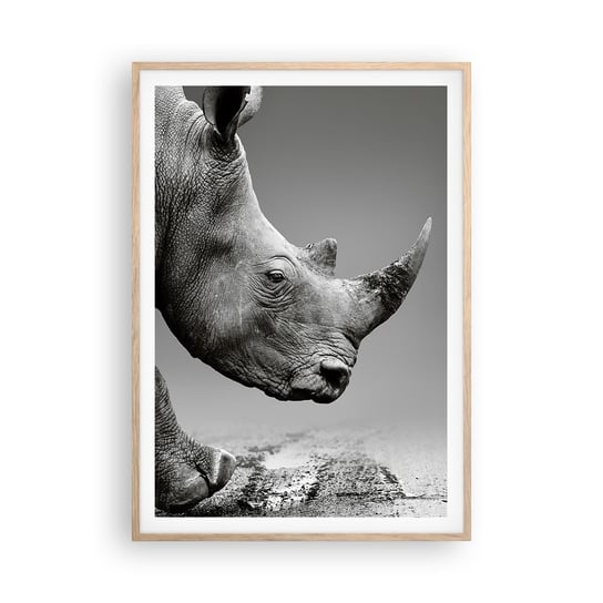 Obraz - Plakat - Niepowstrzymana siła - 70x100cm - Nosorożec Zwierzęta Afryka - Foto Plakaty w ramie koloru jasny dąb do Salonu Sypialni ARTTOR ARTTOR