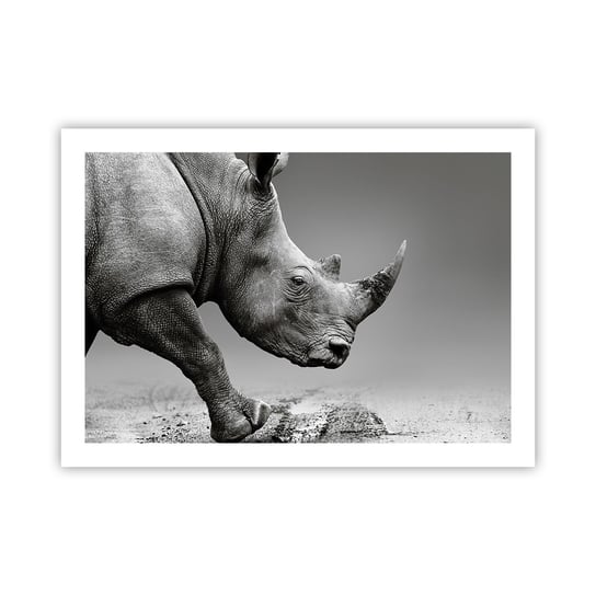 Obraz - Plakat - Niepowstrzymana siła - 70x50cm - Nosorożec Zwierzęta Afryka - Nowoczesny modny obraz Plakat bez ramy do Salonu Sypialni ARTTOR ARTTOR