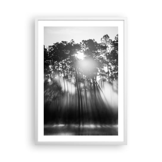 Obraz - Plakat - Niepowstrzymane słońce - 50x70cm - Krajobraz Las Natura - Nowoczesny modny obraz Plakat rama biała ARTTOR ARTTOR