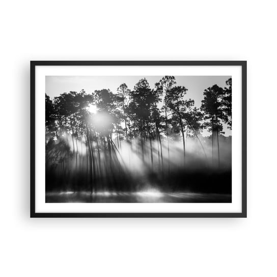 Obraz - Plakat - Niepowstrzymane słońce - 70x50cm - Krajobraz Las Natura - Nowoczesny modny obraz Plakat czarna rama ARTTOR ARTTOR