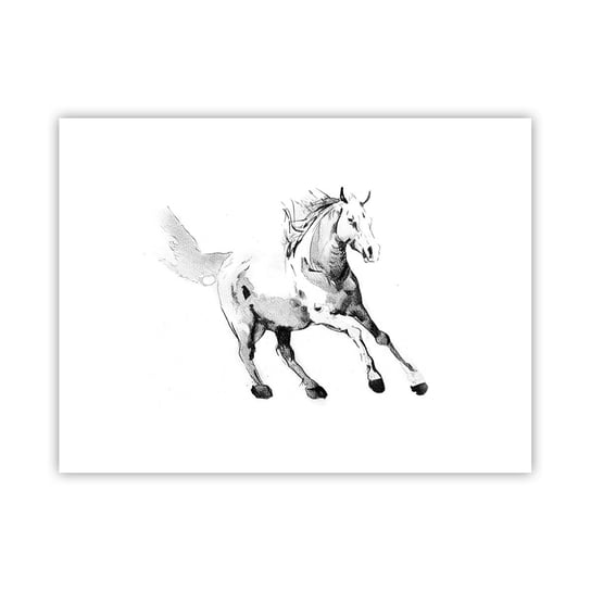 Obraz - Plakat - Nieujarzmiona dusza - 40x30cm - Koń Zwierzęta Grafika - Foto Plakaty na ścianę bez ramy - Plakat do Salonu Sypialni ARTTOR ARTTOR