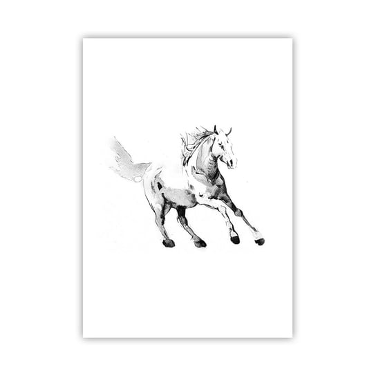 Obraz - Plakat - Nieujarzmiona dusza - 70x100cm - Koń Zwierzęta Grafika - Foto Plakaty bez ramy na ścianę do Salonu Sypialni ARTTOR ARTTOR