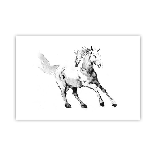 Obraz - Plakat - Nieujarzmiona dusza - 91x61cm - Koń Zwierzęta Grafika - Foto Plakaty na ścianę bez ramy - Plakat do Salonu Sypialni ARTTOR ARTTOR