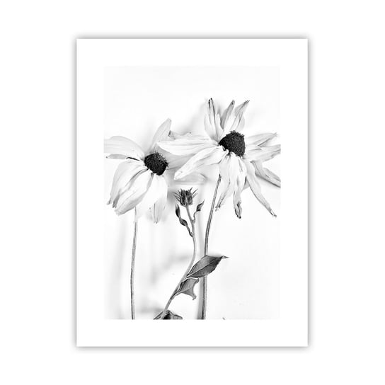 Obraz - Plakat - Nikt nie chce być sam - 30x40cm - Kwiaty Czarno-Biały Natura - Foto Plakaty na ścianę bez ramy - Plakat do Salonu Sypialni ARTTOR ARTTOR
