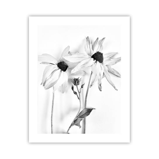 Obraz - Plakat - Nikt nie chce być sam - 40x50cm - Kwiaty Czarno-Biały Natura - Foto Plakaty bez ramy do Salonu Sypialni ARTTOR ARTTOR