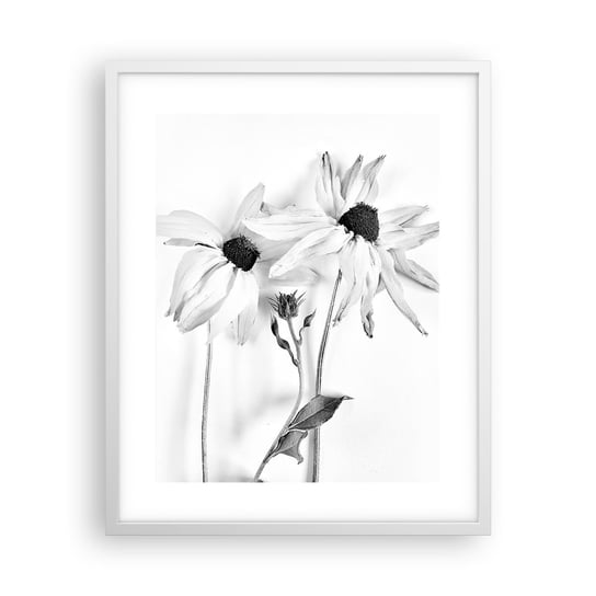 Obraz - Plakat - Nikt nie chce być sam - 40x50cm - Kwiaty Czarno-Biały Natura - Foto Plakaty w ramie koloru białego do Salonu Sypialni ARTTOR ARTTOR