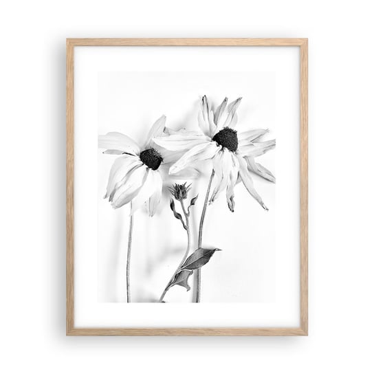 Obraz - Plakat - Nikt nie chce być sam - 40x50cm - Kwiaty Czarno-Biały Natura - Foto Plakaty w ramie koloru jasny dąb do Salonu Sypialni ARTTOR ARTTOR