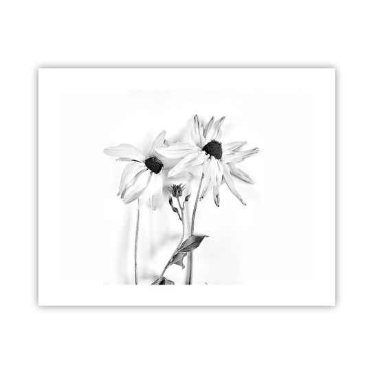 Obraz - Plakat - Nikt nie chce być sam - 50x40cm - Kwiaty Czarno-Biały Natura - Foto Plakaty bez ramy do Salonu Sypialni ARTTOR ARTTOR