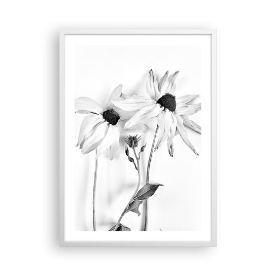 Obraz - Plakat - Nikt nie chce być sam - 50x70cm - Kwiaty Czarno-Biały Natura - Nowoczesny modny obraz Plakat rama biała ARTTOR ARTTOR