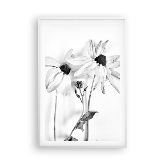Obraz - Plakat - Nikt nie chce być sam - 61x91cm - Kwiaty Czarno-Biały Natura - Foto Plakaty na ścianę w ramie białej - Plakat do Salonu Sypialni ARTTOR ARTTOR