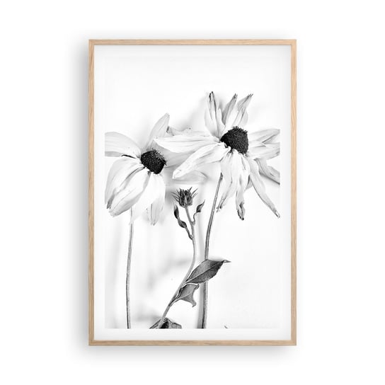 Obraz - Plakat - Nikt nie chce być sam - 61x91cm - Kwiaty Czarno-Biały Natura - Foto Plakaty na ścianę w ramie jasny dąb - Plakat do Salonu Sypialni ARTTOR ARTTOR