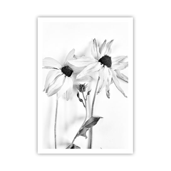 Obraz - Plakat - Nikt nie chce być sam - 70x100cm - Kwiaty Czarno-Biały Natura - Foto Plakaty bez ramy na ścianę do Salonu Sypialni ARTTOR ARTTOR