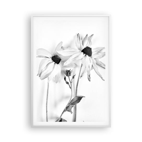 Obraz - Plakat - Nikt nie chce być sam - 70x100cm - Kwiaty Czarno-Biały Natura - Foto Plakaty w ramie koloru białego do Salonu Sypialni ARTTOR ARTTOR