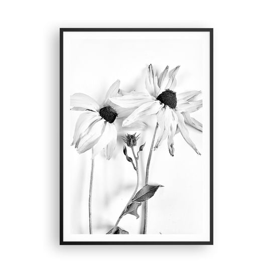 Obraz - Plakat - Nikt nie chce być sam - 70x100cm - Kwiaty Czarno-Biały Natura - Foto Plakaty w ramie koloru czarnego do Salonu Sypialni ARTTOR ARTTOR