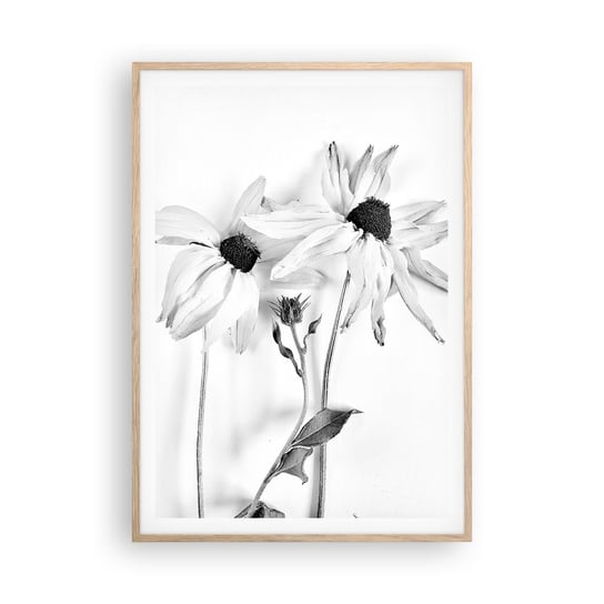 Obraz - Plakat - Nikt nie chce być sam - 70x100cm - Kwiaty Czarno-Biały Natura - Foto Plakaty w ramie koloru jasny dąb do Salonu Sypialni ARTTOR ARTTOR