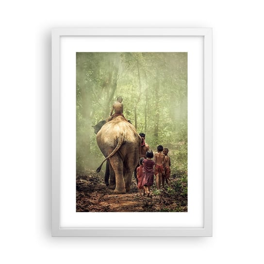 Obraz - Plakat - Nowa Księga Dżungli - 30x40cm - Krajobraz Słoń Dżungla - Foto Plakaty na ścianę w ramie białej - Plakat do Salonu Sypialni ARTTOR ARTTOR