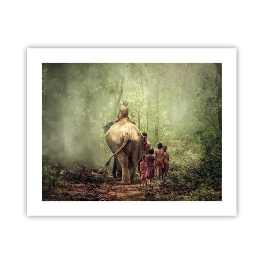 Obraz - Plakat - Nowa Księga Dżungli - 50x40cm - Krajobraz Słoń Dżungla - Foto Plakaty bez ramy do Salonu Sypialni ARTTOR ARTTOR