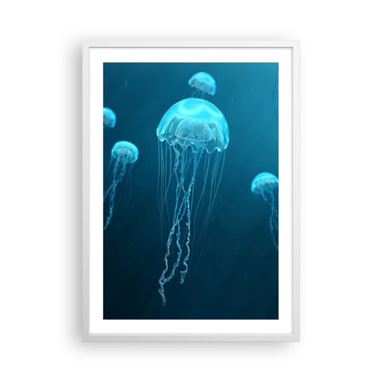 Obraz - Plakat - Oceaniczny taniec - 50x70cm - Meduza Ocean Woda - Nowoczesny modny obraz Plakat rama biała ARTTOR ARTTOR