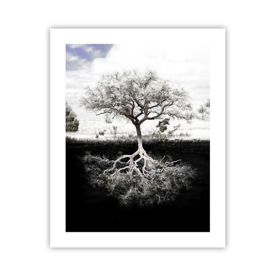 Obraz - Plakat - Odkrycie natury świata - 40x50cm - Abstrakcja Drzewo Natura - Foto Plakaty bez ramy do Salonu Sypialni ARTTOR ARTTOR