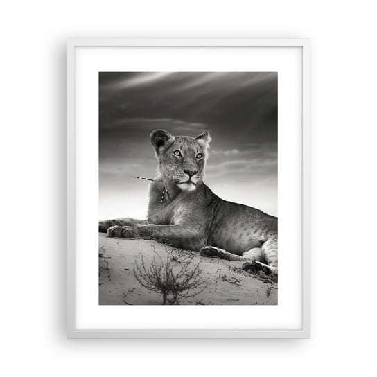 Obraz - Plakat - Odpoczynek królowej pustyni - 40x50cm - Zwierzęta Lew Pustynia - Foto Plakaty w ramie koloru białego do Salonu Sypialni ARTTOR ARTTOR
