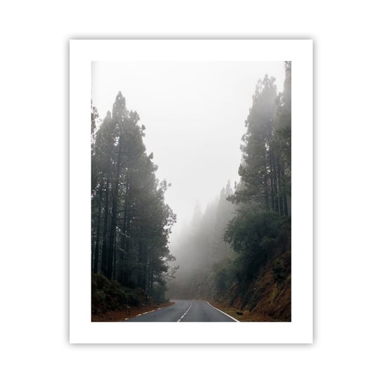 Obraz - Plakat - Opowieść magicznego lasu - 40x50cm - Krajobraz Górski Las Drzewa - Foto Plakaty bez ramy do Salonu Sypialni ARTTOR ARTTOR