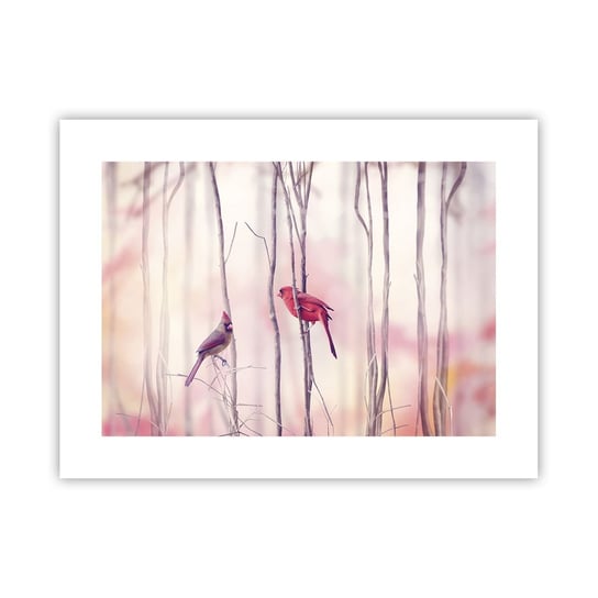 Obraz - Plakat - Opowieść różowego lasu - 40x30cm - Ptak Natura Las - Foto Plakaty na ścianę bez ramy - Plakat do Salonu Sypialni ARTTOR ARTTOR