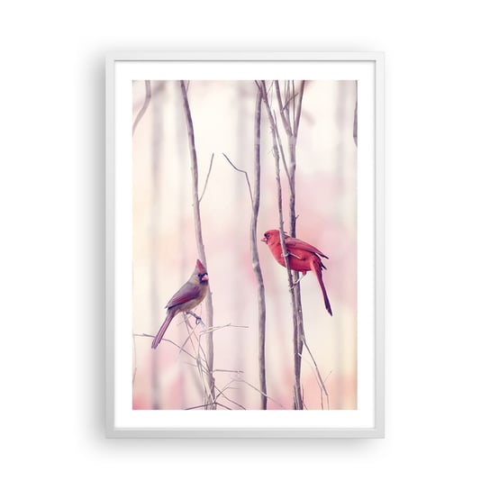 Obraz - Plakat - Opowieść różowego lasu - 50x70cm - Ptak Natura Las - Nowoczesny modny obraz Plakat rama biała ARTTOR ARTTOR
