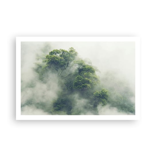 Obraz - Plakat - Otulone mgłą - 91x61cm - Las Mgła Natura - Foto Plakaty na ścianę bez ramy - Plakat do Salonu Sypialni ARTTOR ARTTOR