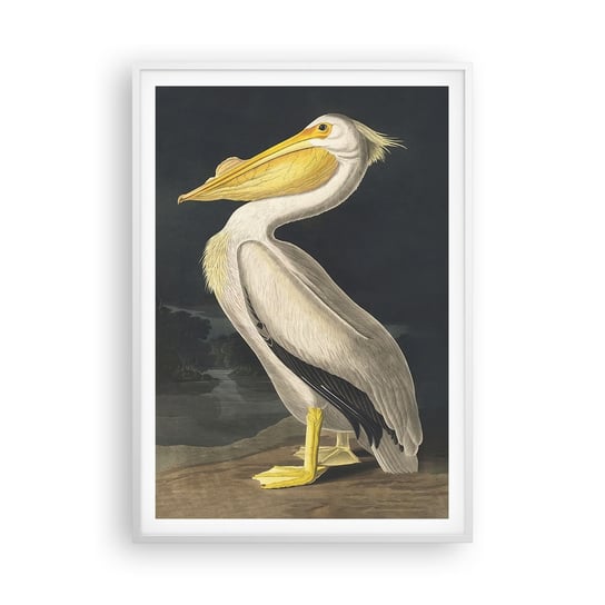Obraz - Plakat - Pełen dumy - 70x100cm - Pelikan Ptak Sztuka - Foto Plakaty w ramie koloru białego do Salonu Sypialni ARTTOR ARTTOR
