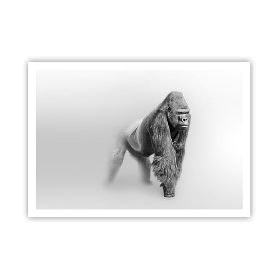 Obraz - Plakat - Pewny swej siły - 100x70cm - Zwierzęta Goryl Małpa - Foto Plakaty bez ramy na ścianę do Salonu Sypialni ARTTOR ARTTOR