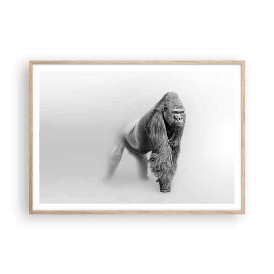 Obraz - Plakat - Pewny swej siły - 100x70cm - Zwierzęta Goryl Małpa - Foto Plakaty w ramie koloru jasny dąb do Salonu Sypialni ARTTOR ARTTOR