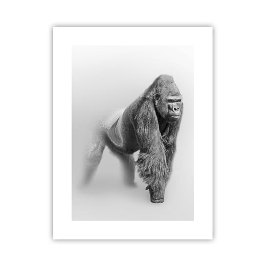 Obraz - Plakat - Pewny swej siły - 30x40cm - Zwierzęta Goryl Małpa - Foto Plakaty na ścianę bez ramy - Plakat do Salonu Sypialni ARTTOR ARTTOR