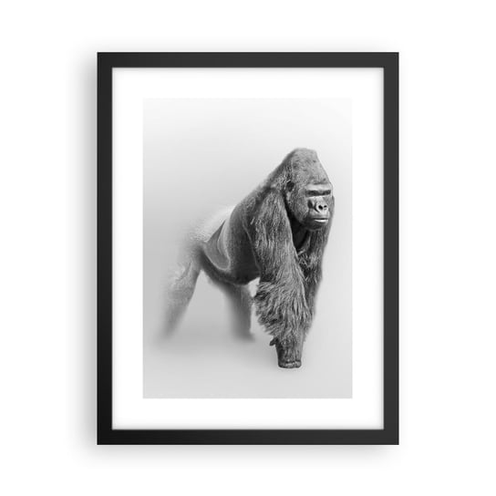 Obraz - Plakat - Pewny swej siły - 30x40cm - Zwierzęta Goryl Małpa - Foto Plakaty na ścianę w czarnej ramie - Plakat do Salonu Sypialni ARTTOR ARTTOR