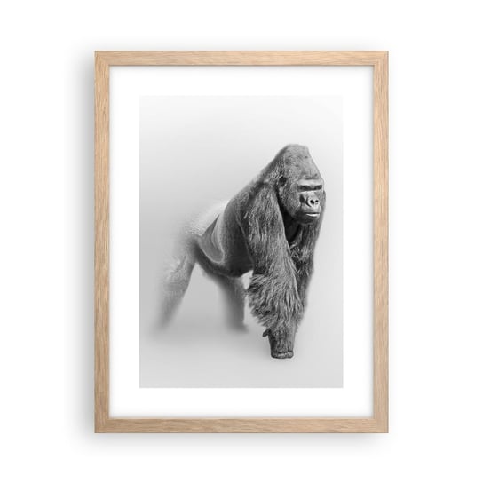 Obraz - Plakat - Pewny swej siły - 30x40cm - Zwierzęta Goryl Małpa - Foto Plakaty na ścianę w ramie jasny dąb - Plakat do Salonu Sypialni ARTTOR ARTTOR