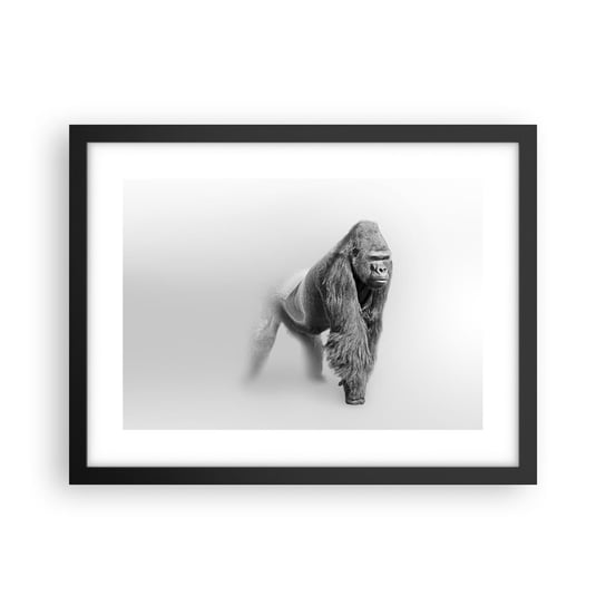 Obraz - Plakat - Pewny swej siły - 40x30cm - Zwierzęta Goryl Małpa - Foto Plakaty na ścianę w czarnej ramie - Plakat do Salonu Sypialni ARTTOR ARTTOR