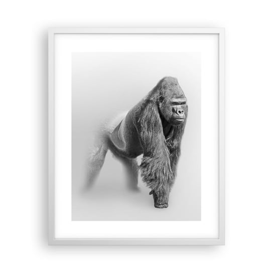 Obraz - Plakat - Pewny swej siły - 40x50cm - Zwierzęta Goryl Małpa - Foto Plakaty w ramie koloru białego do Salonu Sypialni ARTTOR ARTTOR