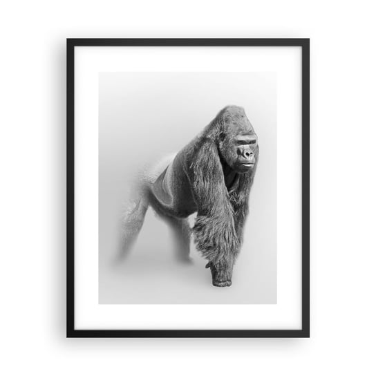 Obraz - Plakat - Pewny swej siły - 40x50cm - Zwierzęta Goryl Małpa - Foto Plakaty w ramie koloru czarnego do Salonu Sypialni ARTTOR ARTTOR