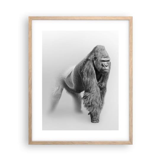 Obraz - Plakat - Pewny swej siły - 40x50cm - Zwierzęta Goryl Małpa - Foto Plakaty w ramie koloru jasny dąb do Salonu Sypialni ARTTOR ARTTOR