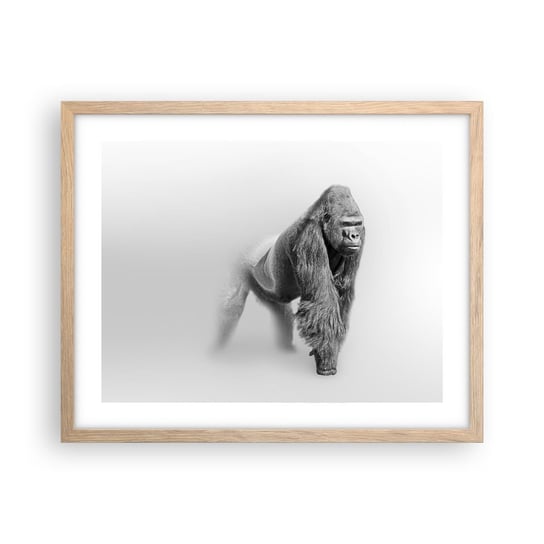 Obraz - Plakat - Pewny swej siły - 50x40cm - Zwierzęta Goryl Małpa - Foto Plakaty w ramie koloru jasny dąb do Salonu Sypialni ARTTOR ARTTOR