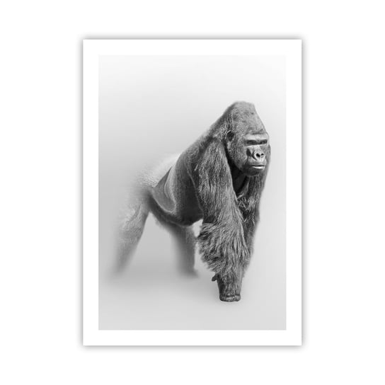 Obraz - Plakat - Pewny swej siły - 50x70cm - Zwierzęta Goryl Małpa - Nowoczesny modny obraz Plakat bez ramy do Salonu Sypialni ARTTOR ARTTOR