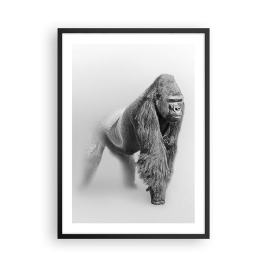 Obraz - Plakat - Pewny swej siły - 50x70cm - Zwierzęta Goryl Małpa - Nowoczesny modny obraz Plakat czarna rama ARTTOR ARTTOR
