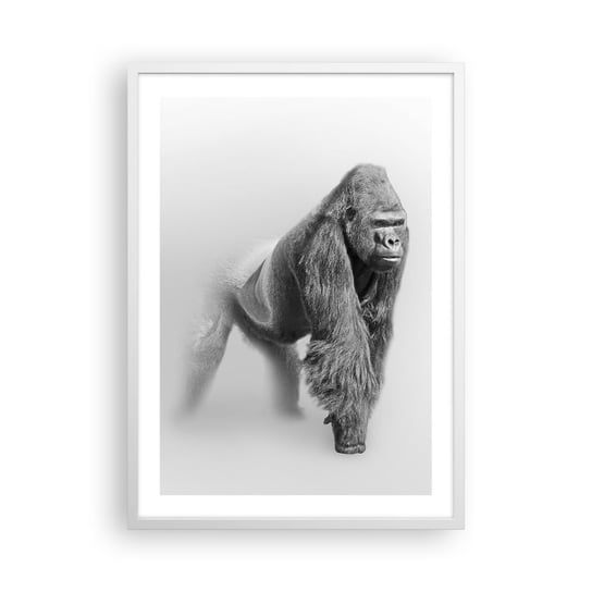 Obraz - Plakat - Pewny swej siły - 50x70cm - Zwierzęta Goryl Małpa - Nowoczesny modny obraz Plakat rama biała ARTTOR ARTTOR