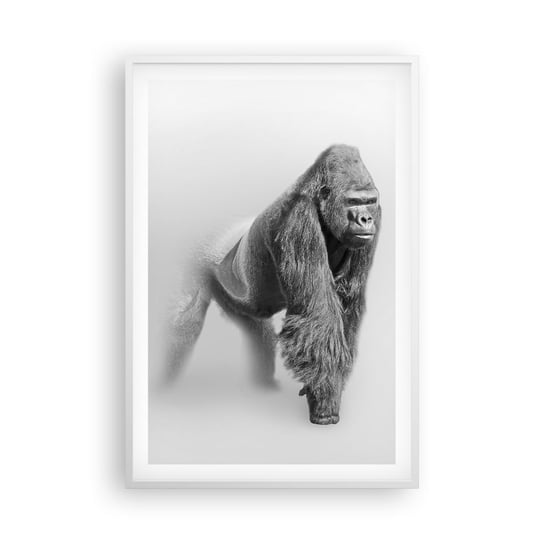 Obraz - Plakat - Pewny swej siły - 61x91cm - Zwierzęta Goryl Małpa - Foto Plakaty na ścianę w ramie białej - Plakat do Salonu Sypialni ARTTOR ARTTOR