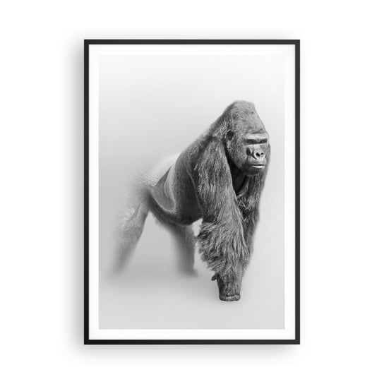 Obraz - Plakat - Pewny swej siły - 70x100cm - Zwierzęta Goryl Małpa - Foto Plakaty w ramie koloru czarnego do Salonu Sypialni ARTTOR ARTTOR