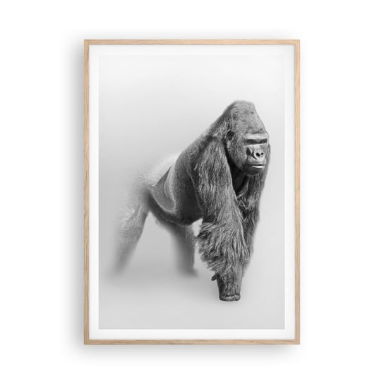 Obraz - Plakat - Pewny swej siły - 70x100cm - Zwierzęta Goryl Małpa - Foto Plakaty w ramie koloru jasny dąb do Salonu Sypialni ARTTOR ARTTOR
